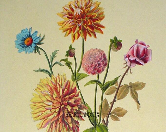 Vintage Botanical Floral Print Wall Art Graphic Download Etsy