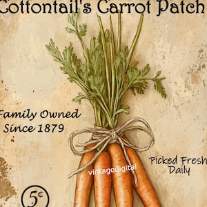 May include: Vintage-style illustration of a carrot bunch with green tops tied with twine. Text reads "Cottontail's Carrot Patch," "Family Owned Since 1879," and "Picked Fresh Daily." A price of 5¢ per bunch is also displayed.