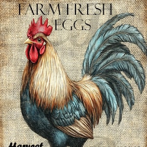 Oeufs frais de ferme primitive vintage, image numérique, téléchargement d'art mural, cartes/étiquettes/transferts/scrapbook/Pages de journal imprimables