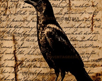 Rice Paper Image for Decoupaging Black Crow Design