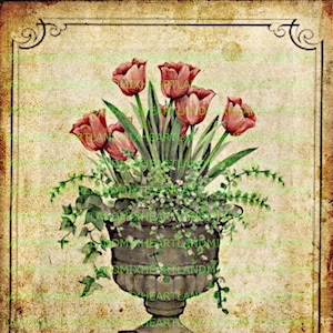 Tulp plantenbak bloemen muur kunst print/overdracht/kaarten/labels/tags/logo's download afdrukbare grafische kunst digitale afbeelding