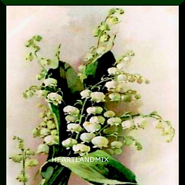 Vintage French Postcard Lily of the Valley Floral Wall Art/Cards/Tags/Scrapbook/Journal Pages/Labels/Logos Download Printable Digital Image
