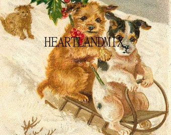 Zwei Hunde Welpen Schlitten VINTAGE Weihnachten Bild DIGITALER Download Printable