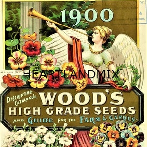Pacote de sementes florais vintage Catálogo de sementes Arte de parede Impressão instantânea Download de imagem digital de arte gráfica para impressão