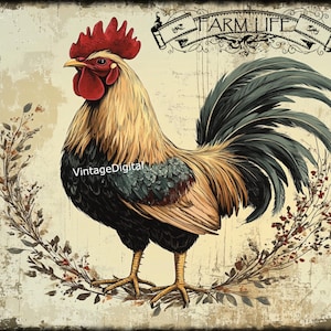 Afbeelding vintage boerderij haan: kunst aan de muur boerderijleven (digitale download)