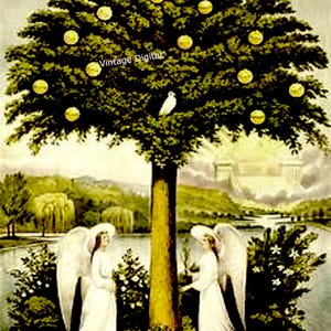 Pernice d'epoca in un albero di pere Angeli 12 giorni di biglietti di Natale/etichette/loghi/trasferimenti/arte murale Immagine digitale stampabile da scaricare