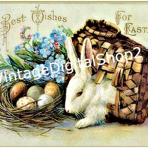 Cartolina d'epoca di Pasqua con coniglio bianco e uova in cestino Scarica immagine artistica stampabile Clip Art
