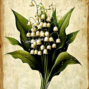 Illustration numérique d'image numérique vintage florale de muguet à télécharger