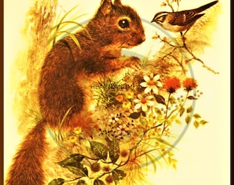 Vintage Digital Wall Art Download Printable Floral Squirrel Bird Image