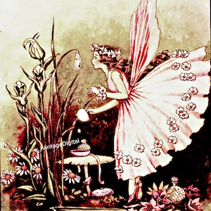 Image graphique numérique vintage à télécharger fée rose imprimable