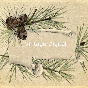 Pine Card Antique Vintage Image graphic download printable, place cards, add your inscription