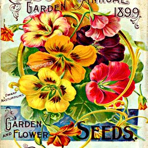 Vintage Cole's Seeds 1899, Pella Iowa Digital Download Printable