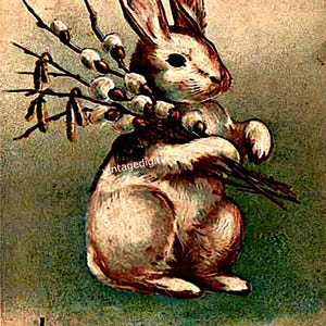 Cartolina vintage di Pasqua con coniglio marrone e pussywIllow Scarica l'immagine stampabile Arte murale/Biglietti/Etichette/Scrapbooking/Decoupage/Trasferimenti