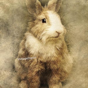 Vintage Rabbit/Hare/Bunny Illustration Digital Download Printable