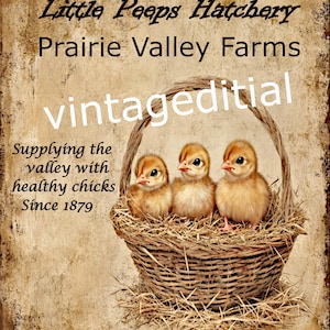 Vintage Primitive Easter Peeps Chicks Hatchery Digital Download Printable