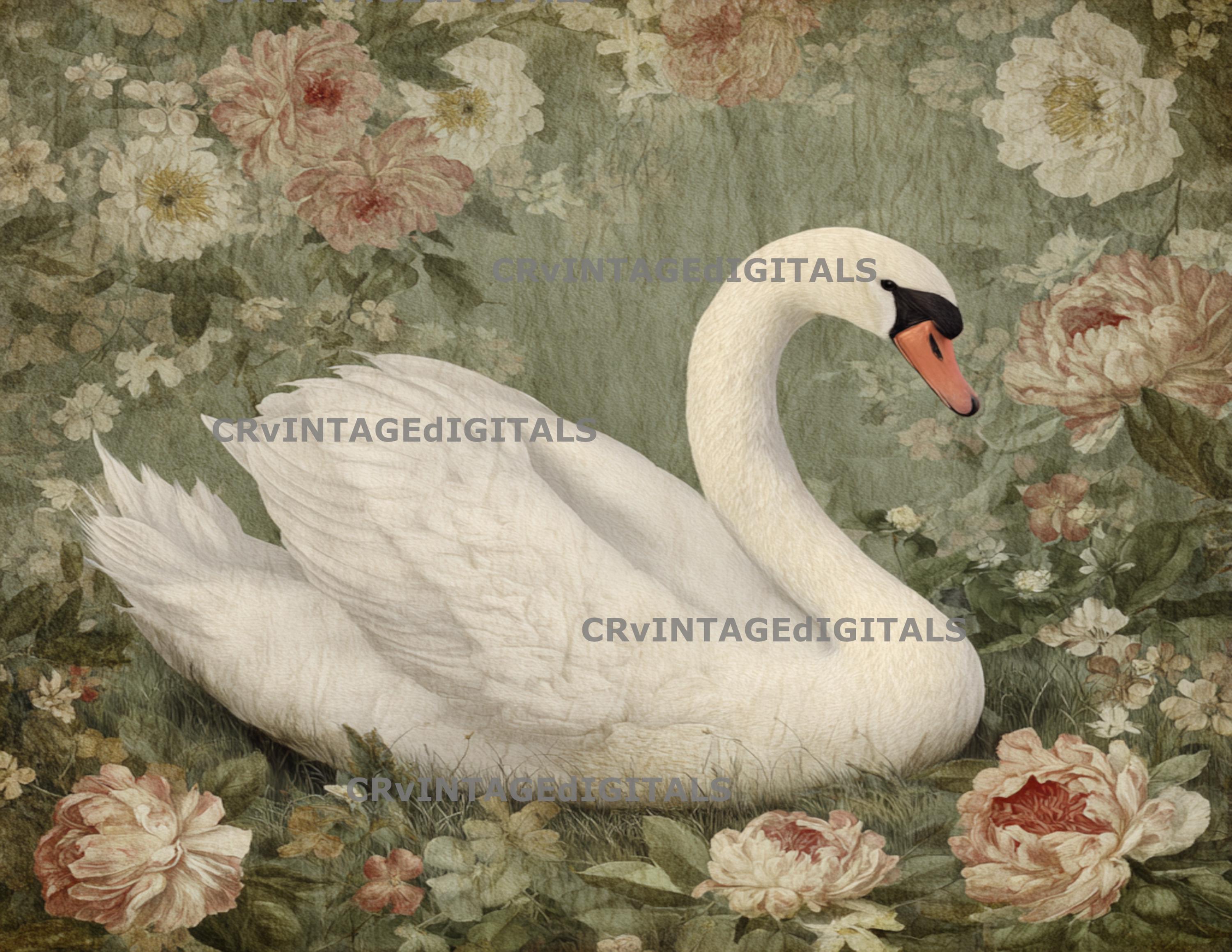 Pink Swan Rice Paper Vintage Swan Floral Decoupage Rice Paper: A4 DIY Craft Images Design - Etsy