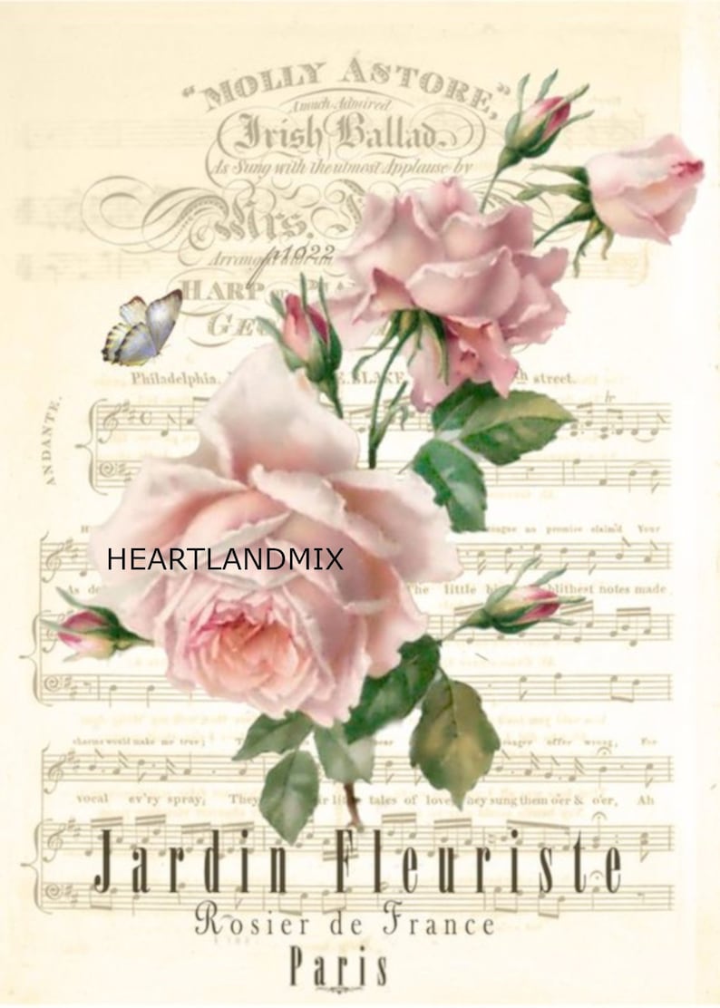 Pink Roses Floral Wall Art Print Download Printable Graphic Art Digital Image 