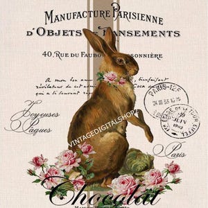 Immagine digitale di coniglio francese Immagine grafica scaricabile e stampabile Schede/Tag/Trasferimenti/Etichette/Loghi
