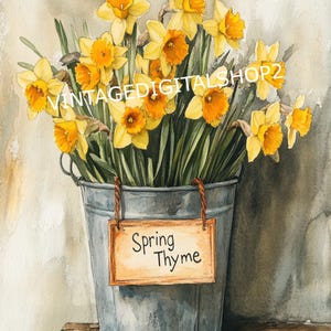 May include: A watercolor painting of a galvanized metal bucket filled with yellow daffodils. The bucket has a small wooden sign hanging from it that reads "Spring Thyme".