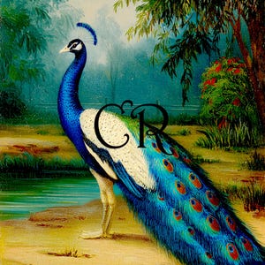 Decoupage Rice Paper,: Peacock Decorative Images, Paper Crafts DIY Crafting