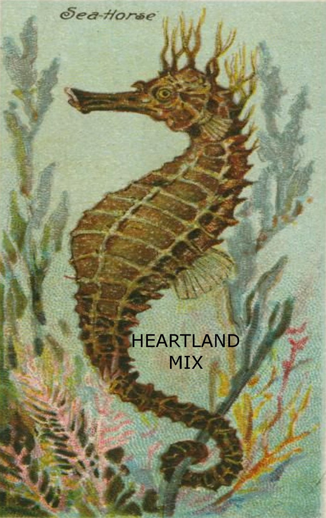 Vintage Seahorse Digital Image Art Download Printable Tags Greeting