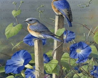 Bluebirds and Morning Glories Vintage Art Digital Image