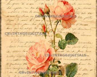 Pink Roses Floral Wall Art Print Download Printable Graphic Art Digital Image