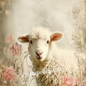 Primitive Lilly Lamb Wool Company Sheep Printable Jpeg 300
