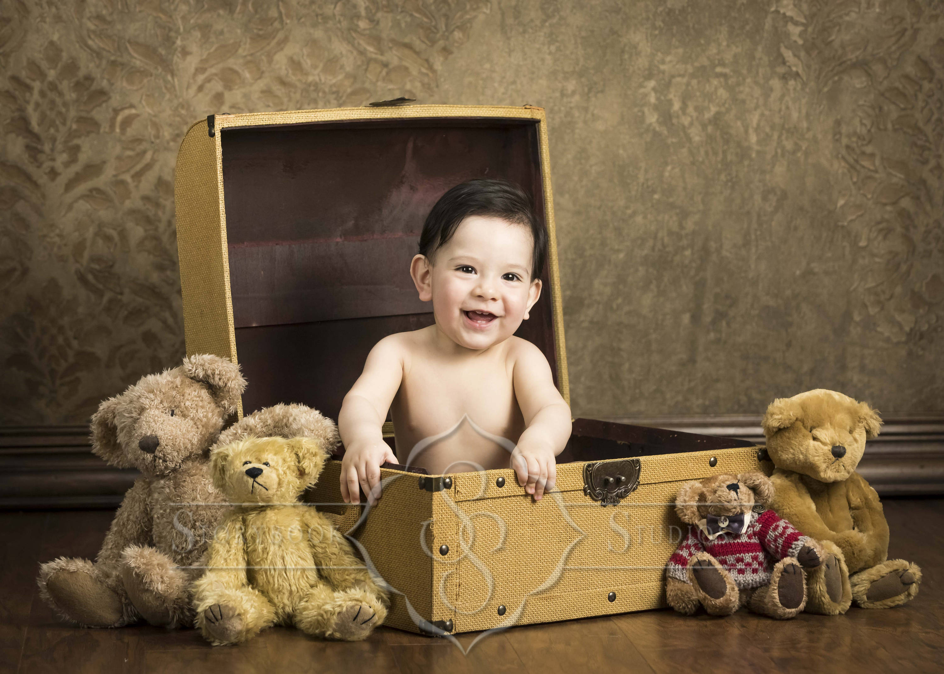 Telon De Fondo Digital Telon De Fondo Del Bebe Para Etsy Mexico