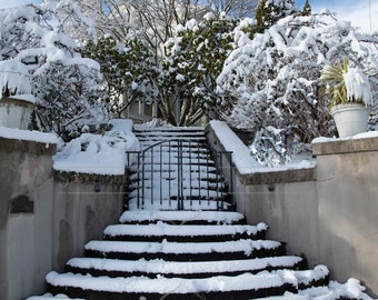 Snow backdrop, Digital Backdrop, Snowy steps, Perfect for winter portraits