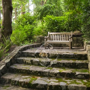 Puede incluir: Un banco de madera se encuentra en un patio de piedra con escalones que conducen a él. El banco está rodeado de exuberante vegetación verde y árboles.
