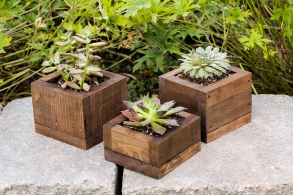 Succulent Planter, Rustic Boxes, Small Succulent Display, Gift for Her,  Wood Box Set, Farmhouse Decor, Succulent Wedding Favor Box - Etsy