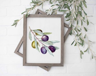 Olive Art Print Olive branch Botanical Artwork Farmhouse Culinary Illustration Kitchen Decor DIGITAL DOWNLOAD 2 jpg files, 8x10 16x20