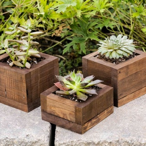 Succulent planter, Small Succulent display, Gift for her, Wood box set, Farmhouse decor, rustic box, succulent wedding favor box