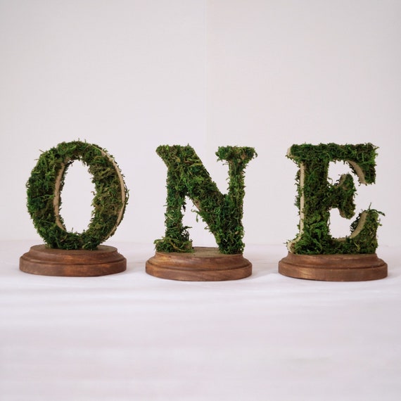 Baby S First Birthday Where The Wild Things Are Moss One Etsy