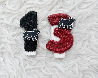 Backyard BBQ pig birthday number candle, comes in any number you like