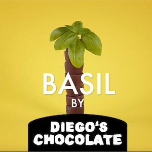 BASIL CHOCOLATE – 75% Dark Chocolate - Gourmet Chocolate Rolls – Chocolate Treat – Host Gift - Halloween Chocolate – 4 Pack