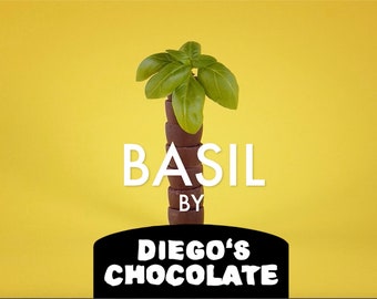 BASIL CHOCOLATE – 75% Dark Chocolate - Gourmet Chocolate Rolls – Chocolate Treat – Host Gift - Halloween Chocolate – 4 Pack