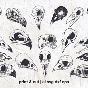 Vogel schedel svg bundel, raaf vector, vogel hoofd dxf, adelaar schedel gesneden bestanden, uil schedel, kraai schedel lasergesneden, voor Cricut of glowforge