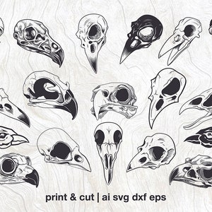 Bird skull svg bundle, raven vector, Bird head dxf, Eagle skull cut files, owl skull, crow skull laser cut, for Cricut or glowforge