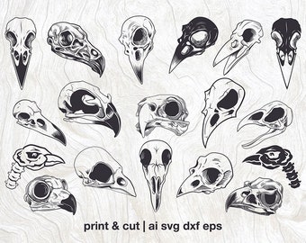 Bird skull svg bundle, raven vector, Bird head dxf, Eagle skull cut files, owl skull, crow skull laser cut, for Cricut or glowforge