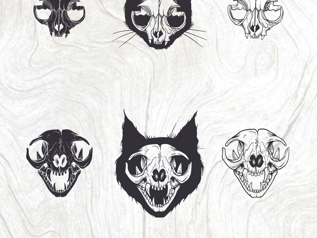 Vinny Cat on skull/立体アート Vinny Cat on skull/立体アート