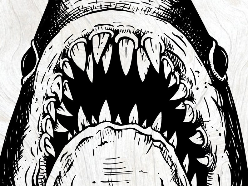 Shark SVG, Jaws Shirt Design Print, Shark Week, Ocean Surfing Clipart, Beach Sublimation png, Cricut files, Laser Cut EPS DXF image 2