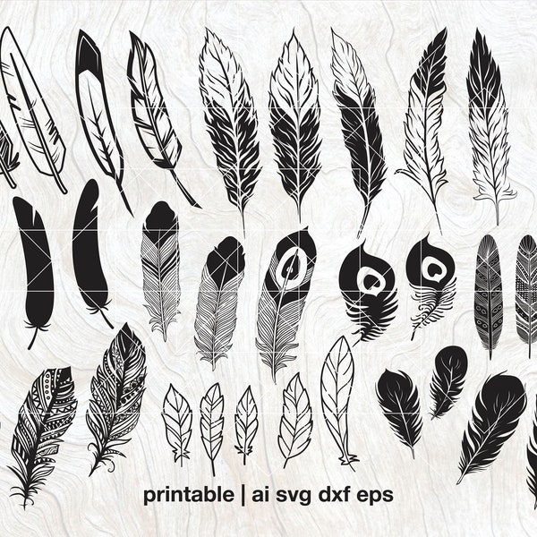 Feather svg bundle, Feather Vector pack, birds feather clipart, feather cut files, feather laser cut, svg dxf eps png