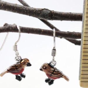 Robin red breast bird dangle drop earrings. Hand painted, hand crafted sterling silver ear wire. Nature, garden inspired design. image 3