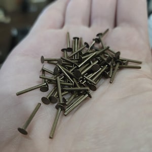 May include: A collection of small, antique brass-colored rivets with flat, circular heads and slender shafts. The rivets are scattered, with some overlapping, creating a textured appearance. These fasteners are likely used for crafting or repair projects.