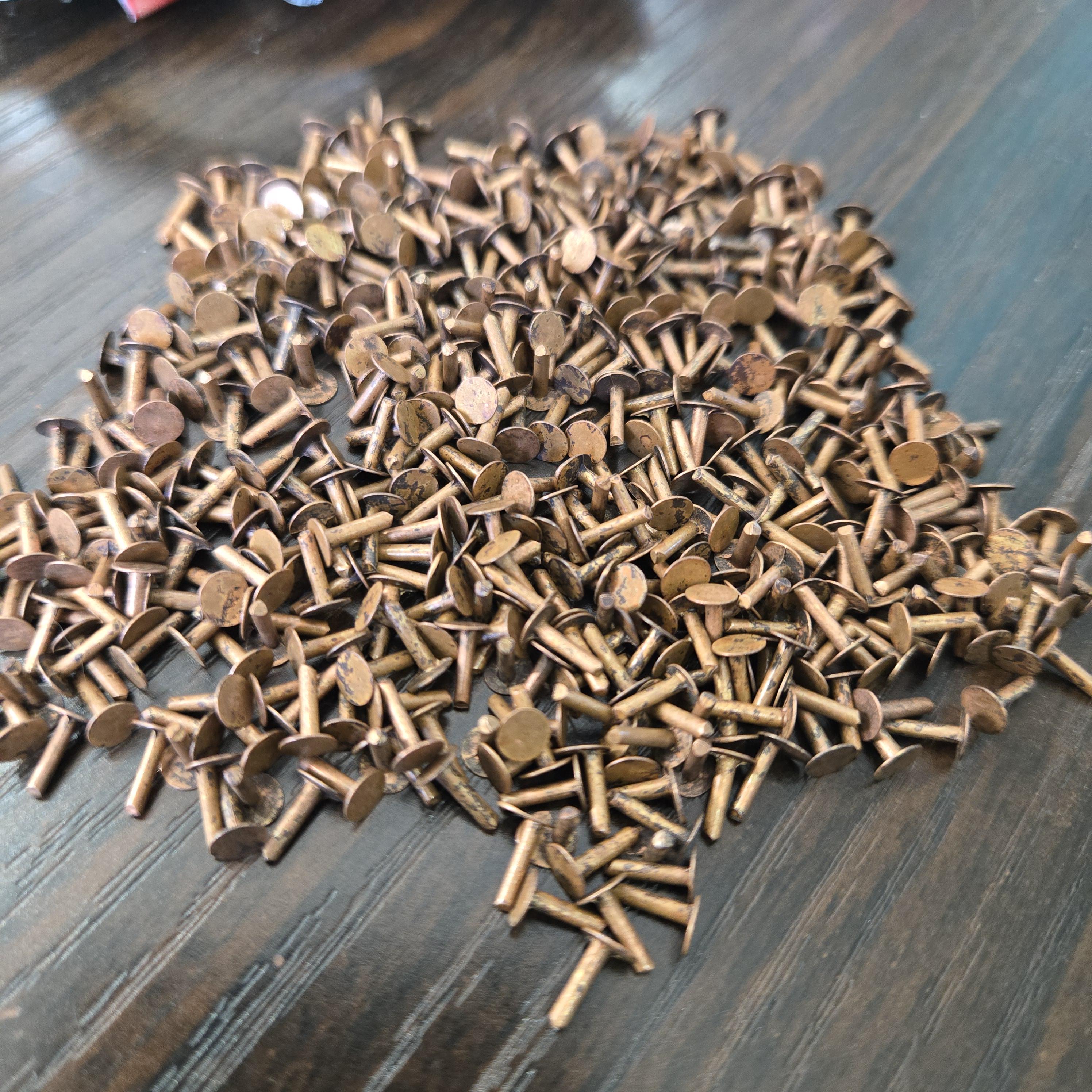Copper CRV010 1/4 Inch Nail Head Rivets *5 Pieces* - Etsy