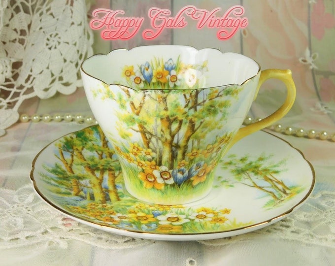 Shelley Teacup and Saucer Vintage Shelley Daffodil Time Etsy