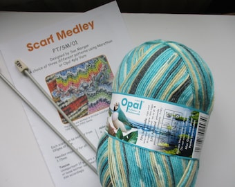 Scarf Knitting Kit: Opal Self-Patterning Yarn, 3.75mm Needles