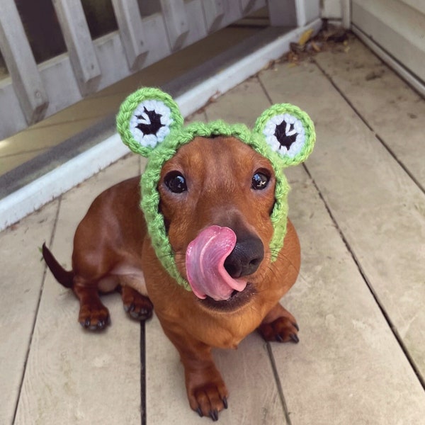 Patron au crochet #086 - Grenouille Snood, Cache-oreilles pour chien, Cagoule pour chien - Tutoriel pdf